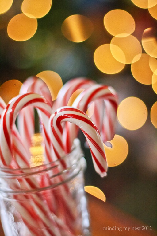 Happiness is…a Jar of Candy Canes minding my nest