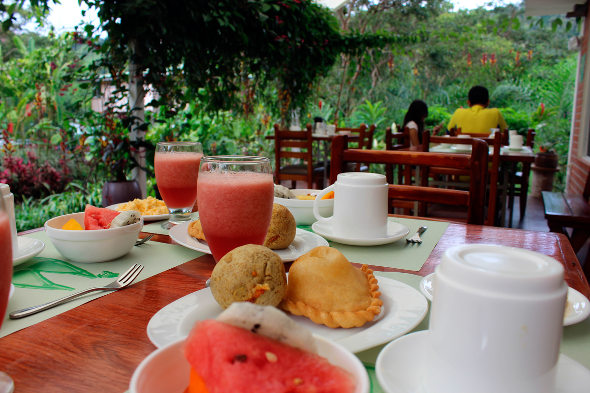 Servicios Mindo Real