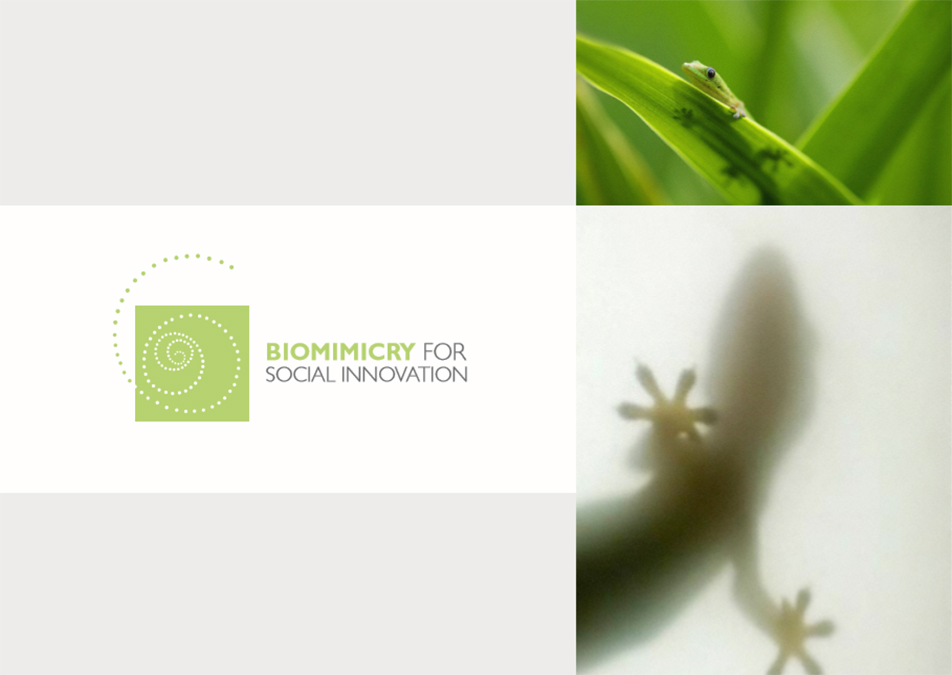 Biomimicry And Social Innovation at All_2