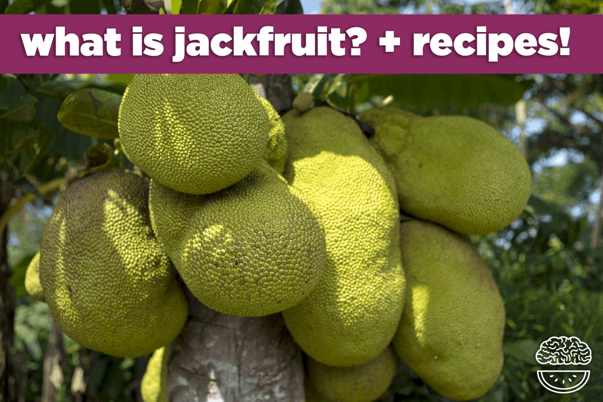 Jackfruit Recipes, Taste & Health Benefits Mind Over Munch