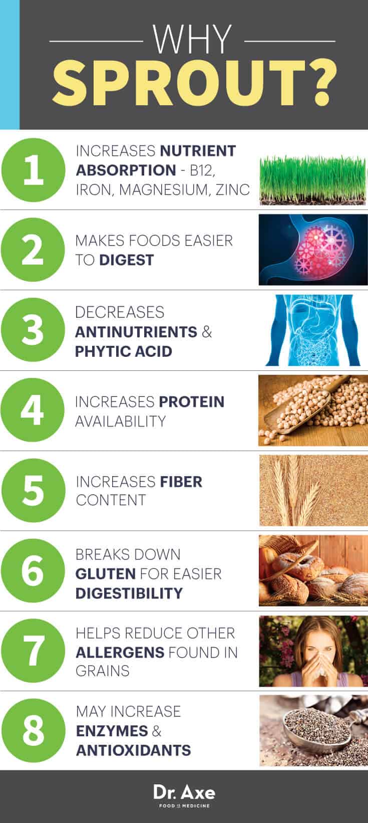Are Grains Bad For You? Is Gluten Healthy? & What About Legumes?