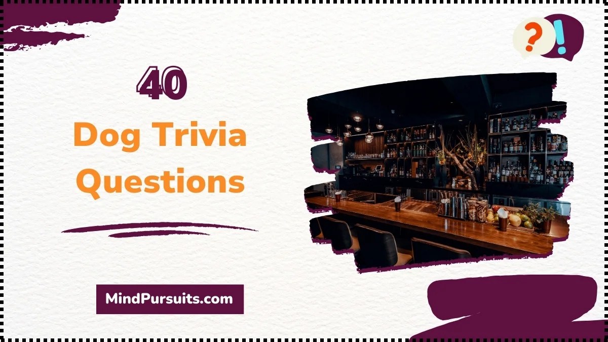 40 Best Bar Trivia Questions (Test Your Knowledge