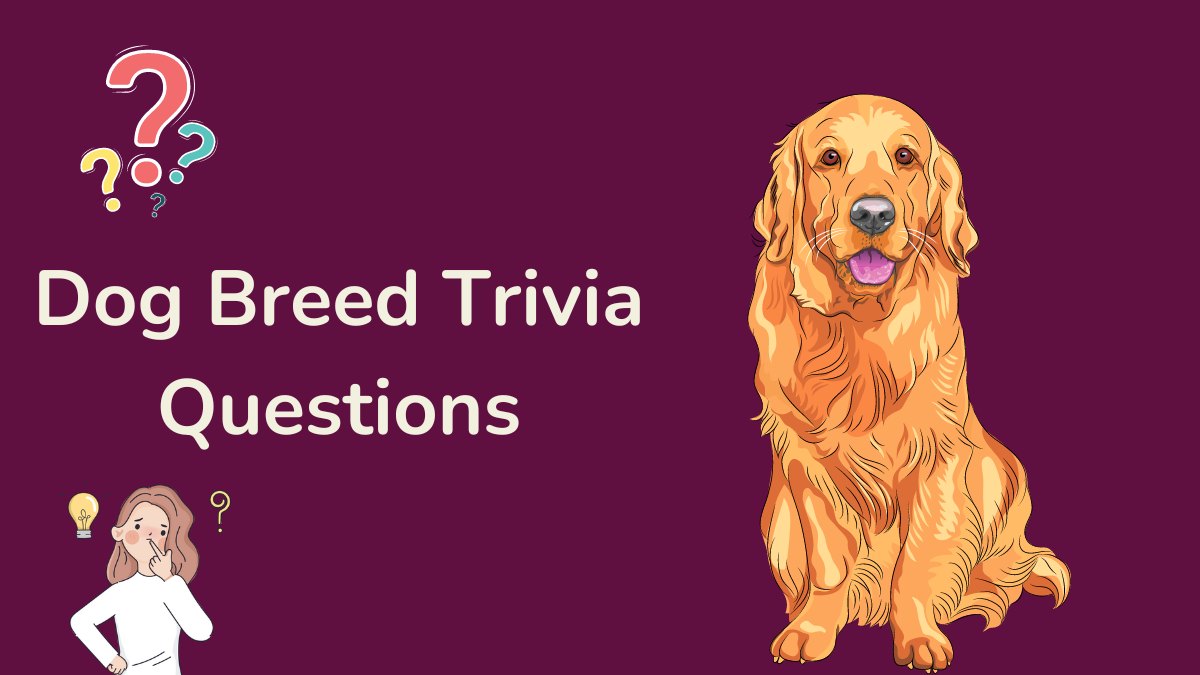 50 Best Dog Trivia Questions (BrainTeasers)