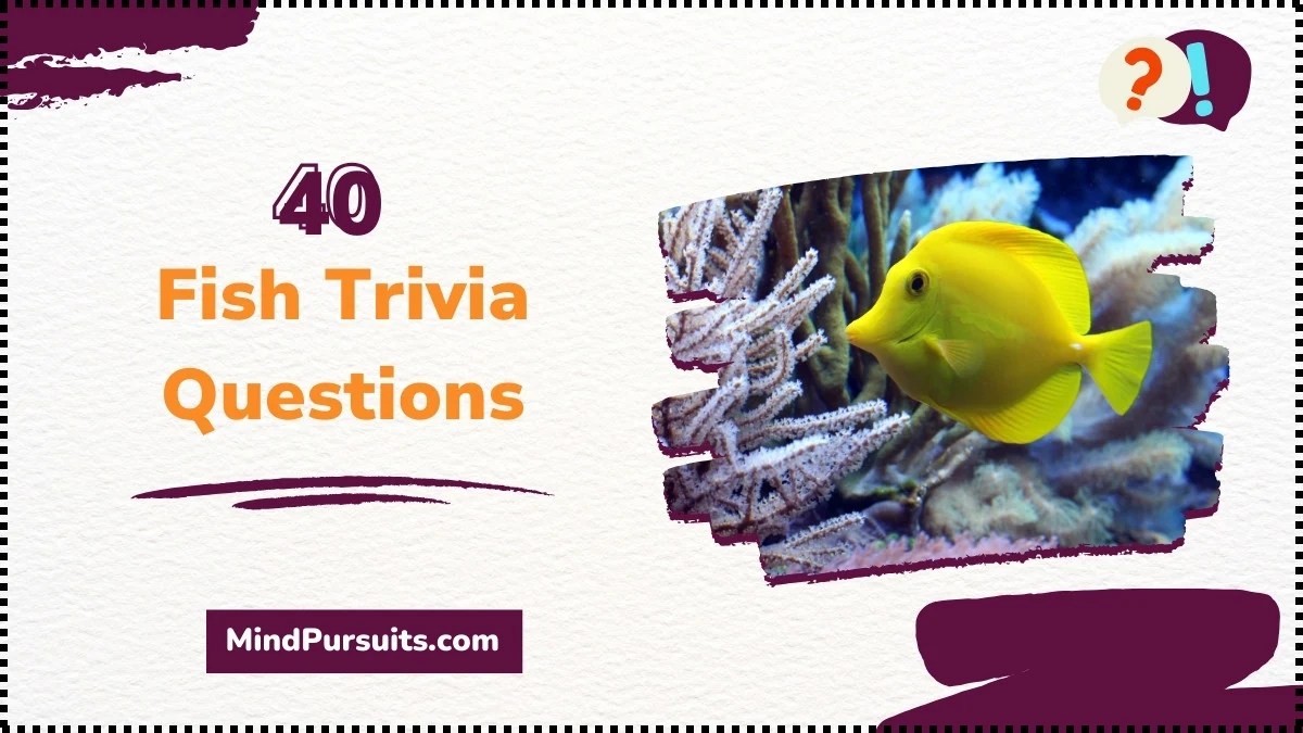 40 Best Fish Trivia Questions (Brain Teasers)