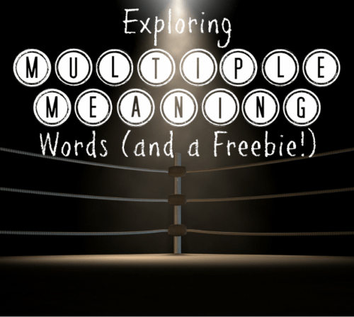 Exploring Multiple Meaning Words - and a Freebie!