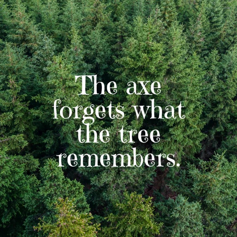All 32+ Background Images the axe forgets what the tree remembers Excellent