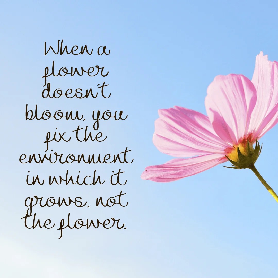 When a flower doesn't bloom, you fix the environment in which it grows
