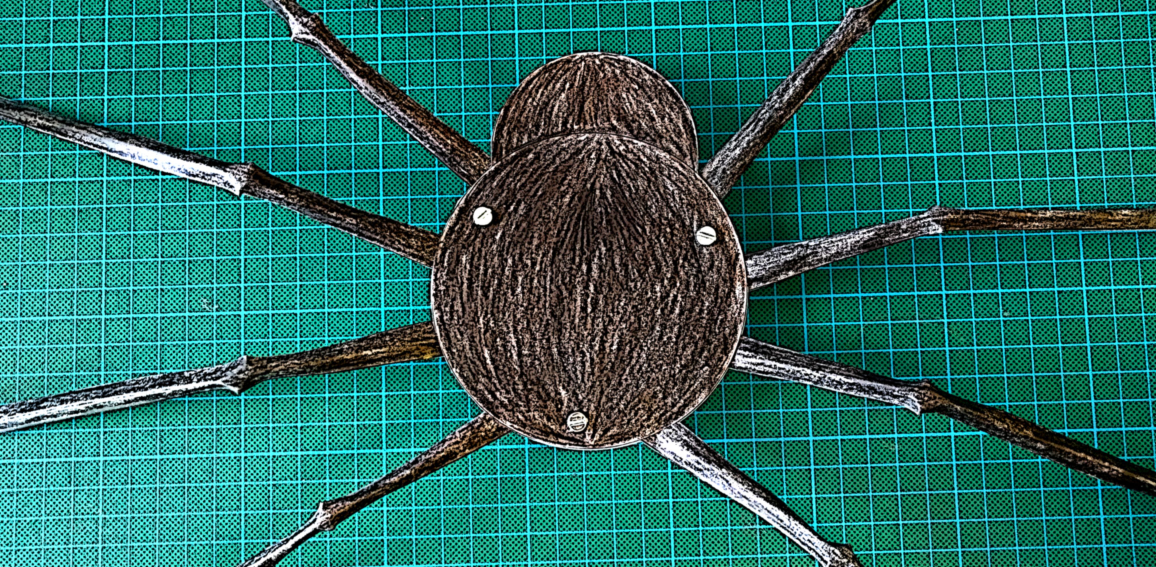 Halloween Jitterbug Spider Mindsets Online