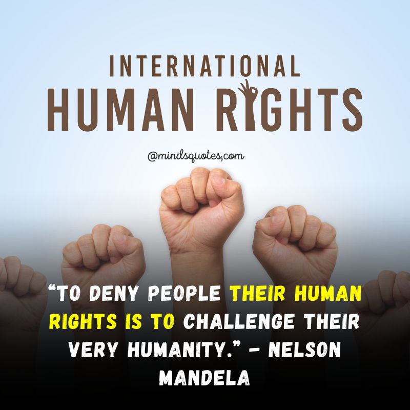60 BEST Human Rights Day Quotes, Wishes & Messages