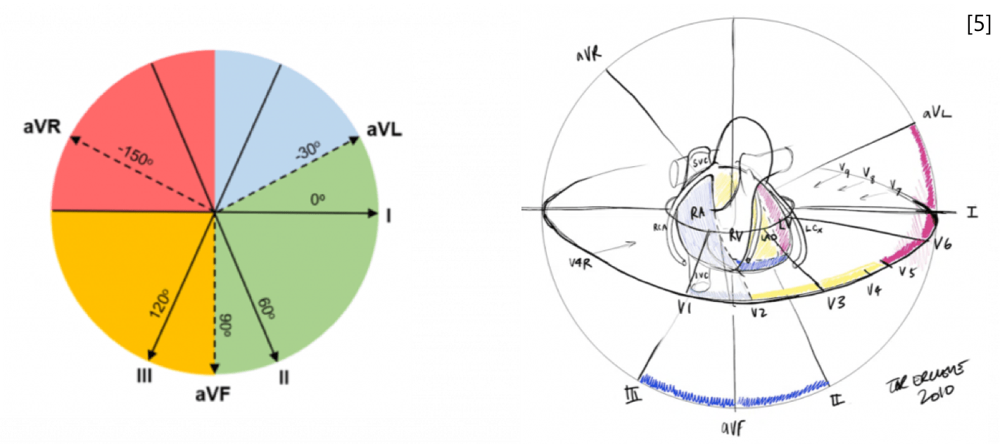 ECG Basics Mind The Bleep