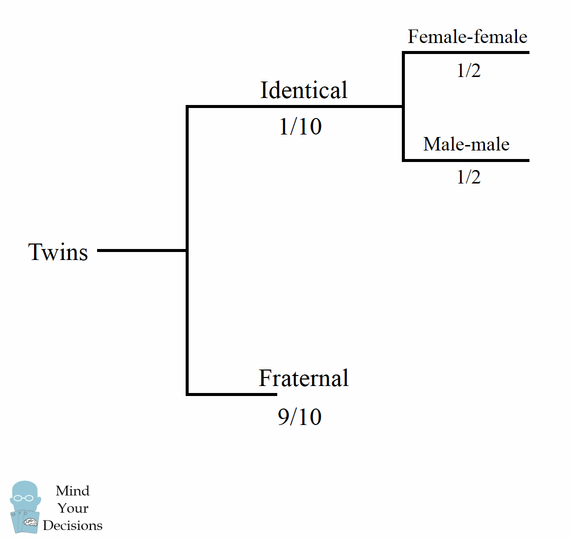 Can You Solve The Identical Twins Puzzle? Mind Your Decisions
