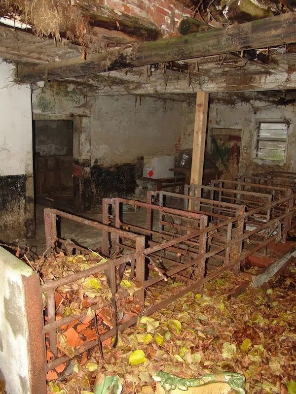 How to Buy Abandoned Homes with No Money A StepbyStep Guide MineBook