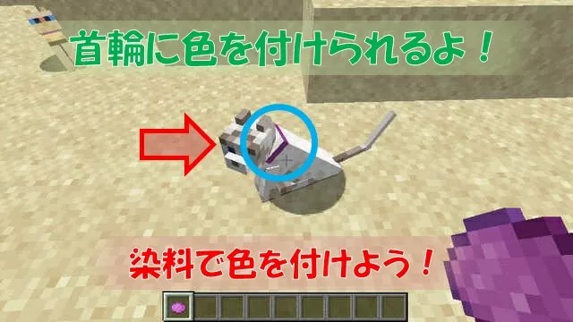 Wii U版「マイクラ」ユーザーに朗報！『Minecraft Wii U Edition』の マイ クラ 猫