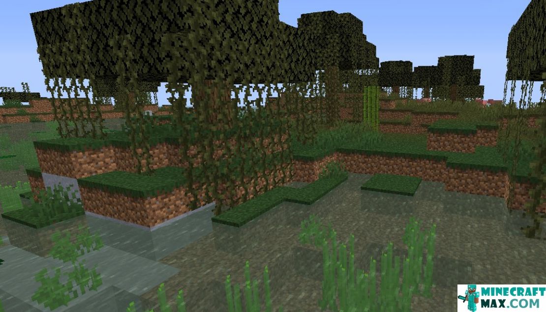 How to make Swamp in Minecraft