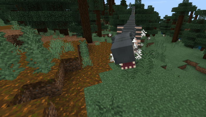 Albertosaurus Minecraft PE Addon/Mod 1.16.0.58, 1.16.0, 1.15.0.56, 1.14.30