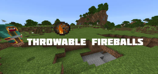 Mods and Addons 1.16.40.02, 1.16.100.55, 1.16.20.03, 1.16.10.02, 1.16