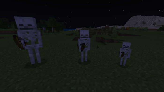 Aging in Minecraft