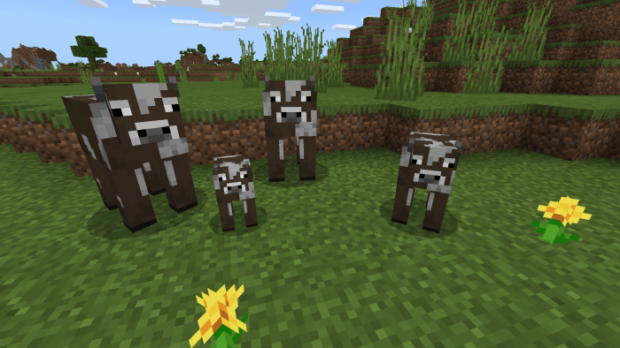 Years C Mod (1.7.10) – Ageing, Hair Mod 9Minecraft