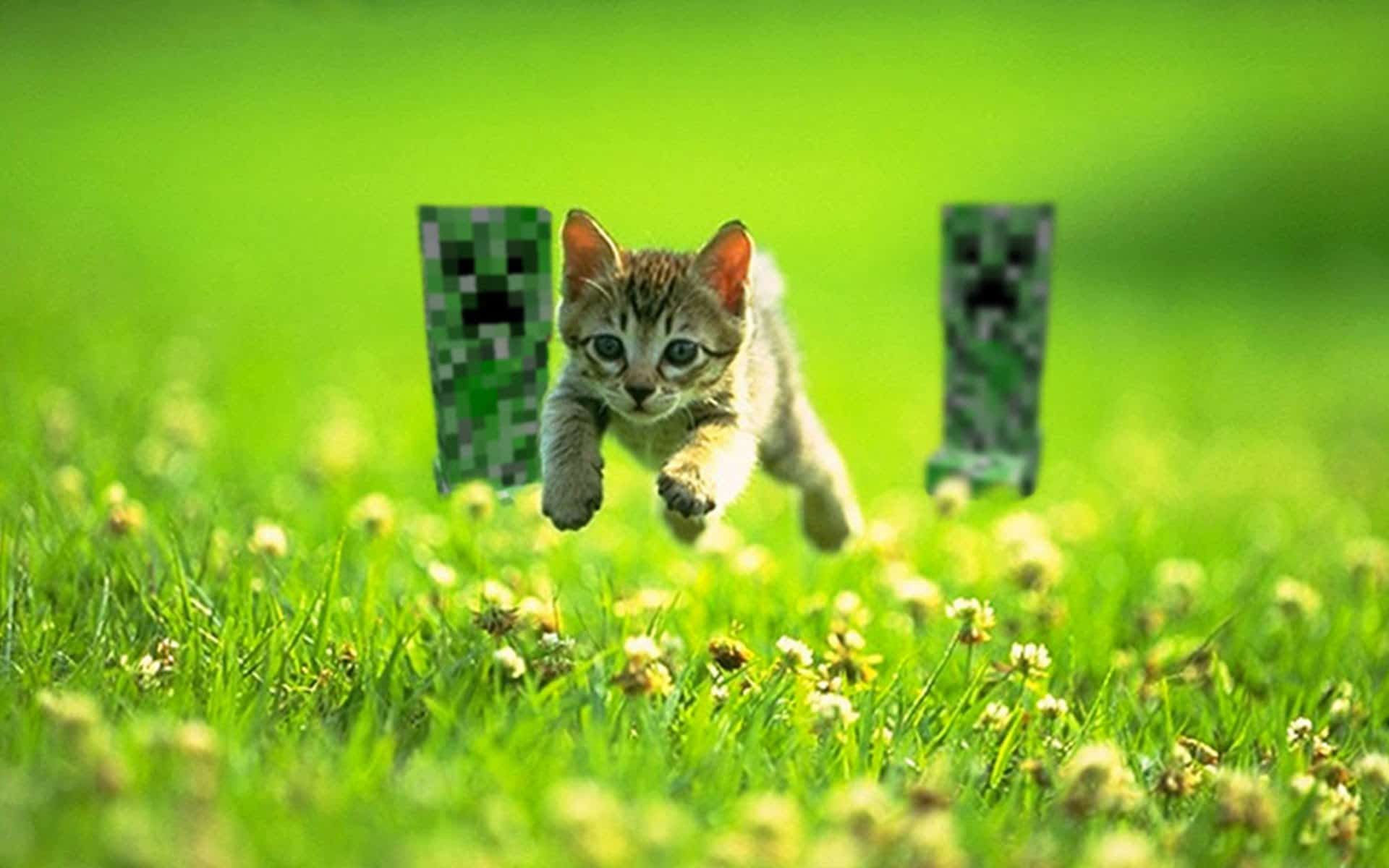 Minecraft Top Wallpapers for your desktop 1920 x 1080 plus Minecraft