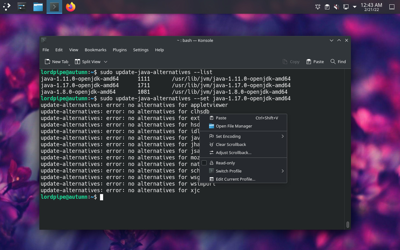 How to install Java MinecraftHopper