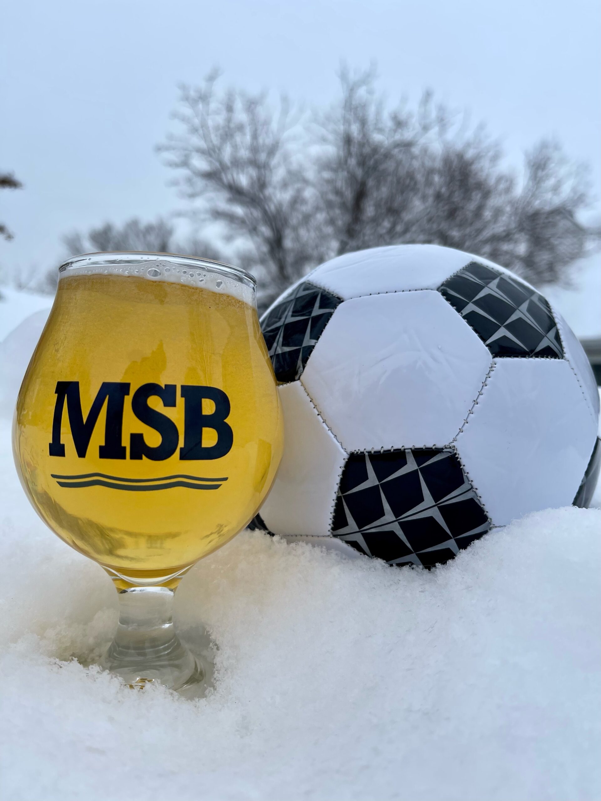 World Cup Watch Party Mineral Springs Brewery