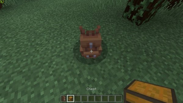 Backpack addon for Minecraft PE 1.14.60