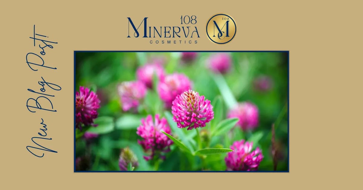Unveil the Red Clover Estrogen Effect Minerva108 Cosmetics