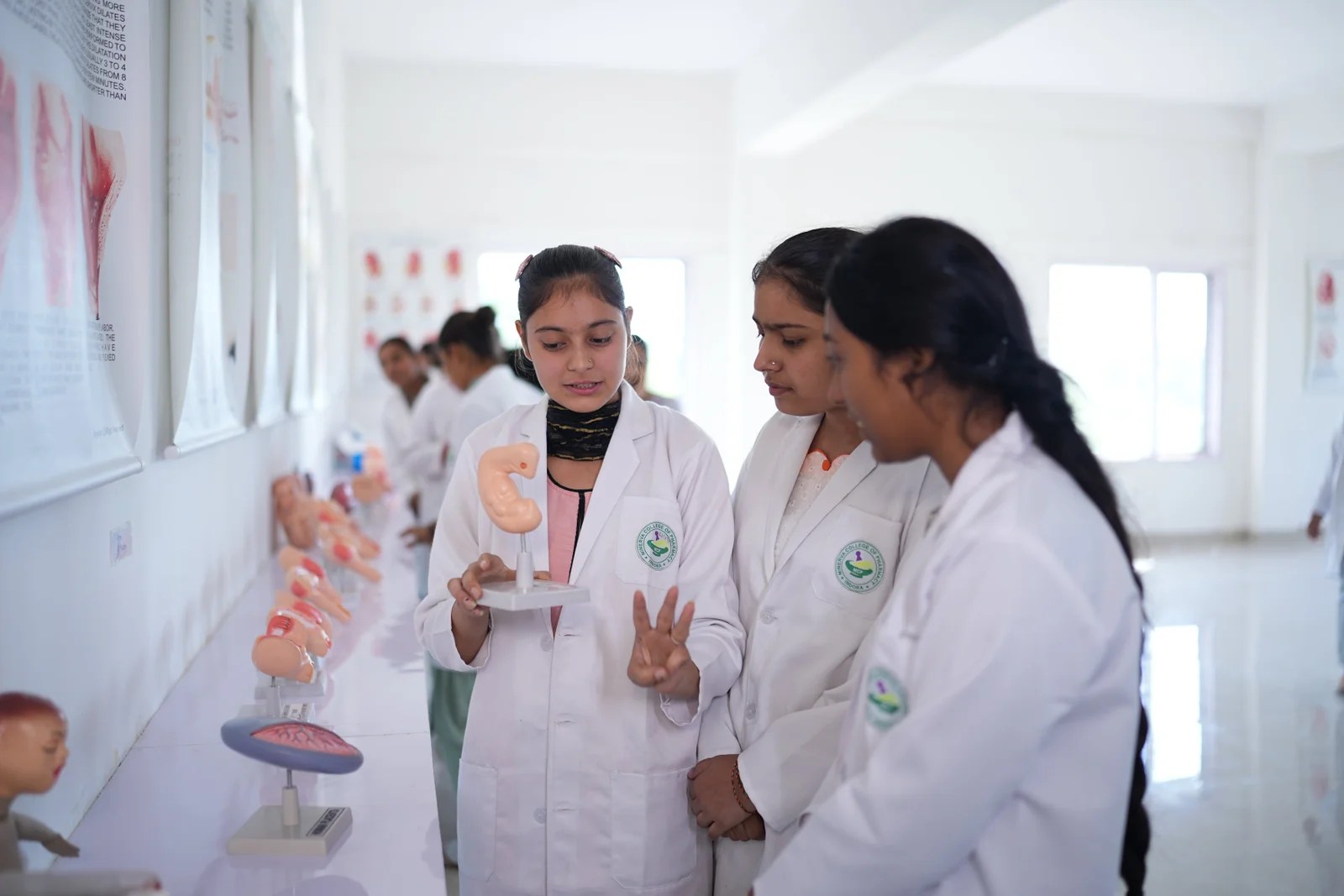 Minerva College Of Nursing Kangra Best Nursing College In Kangra