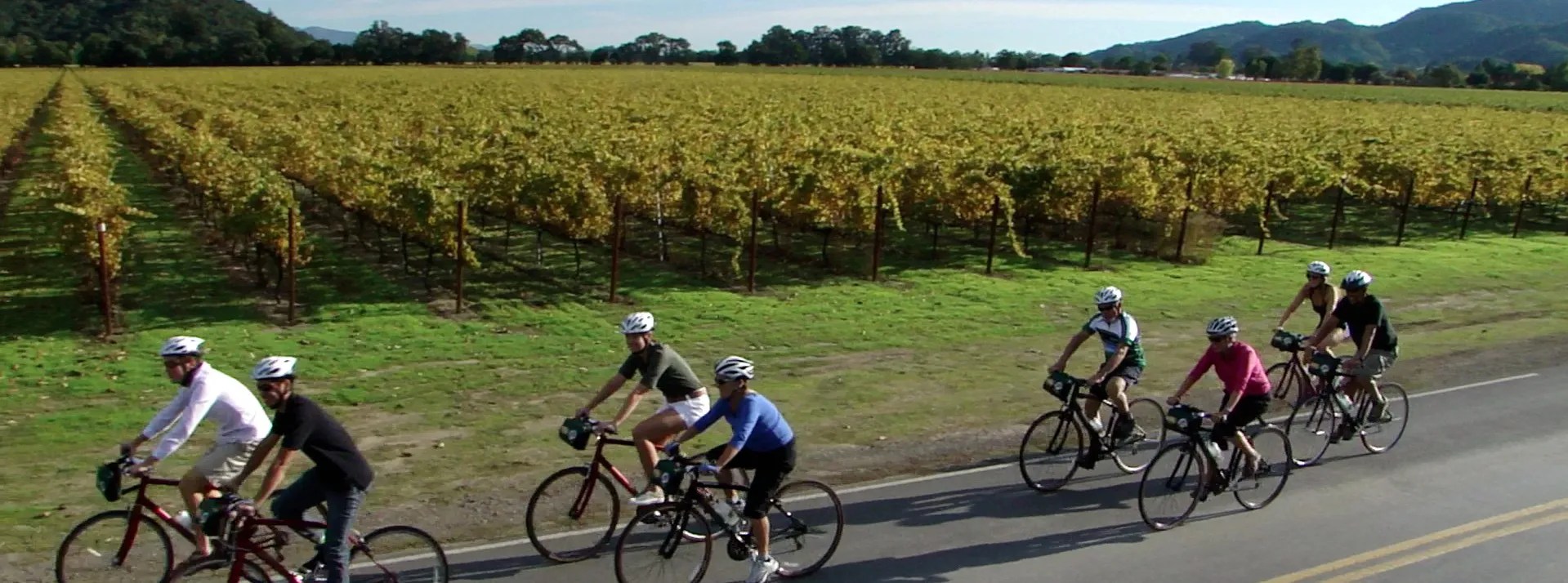 Napa Valley Bike Tours Miner Family Wines