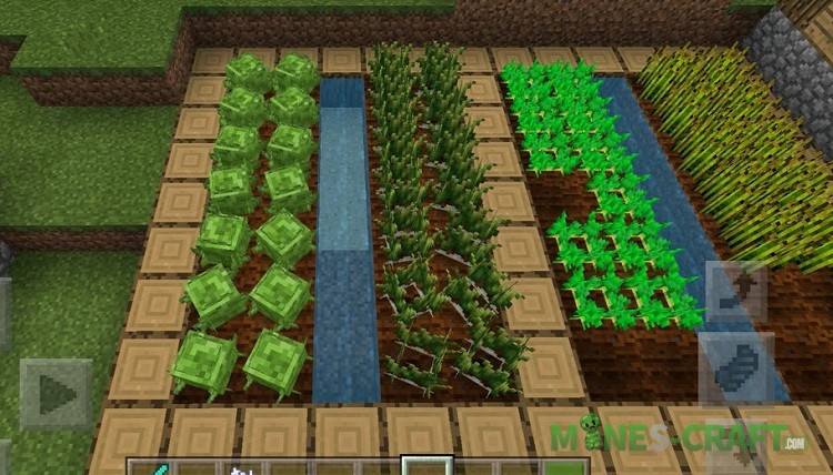 Crop Sticks Minecraft