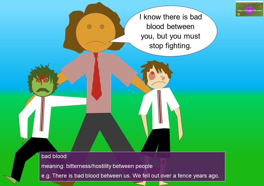 BAD idioms (idioms with adjectives) Mingleish