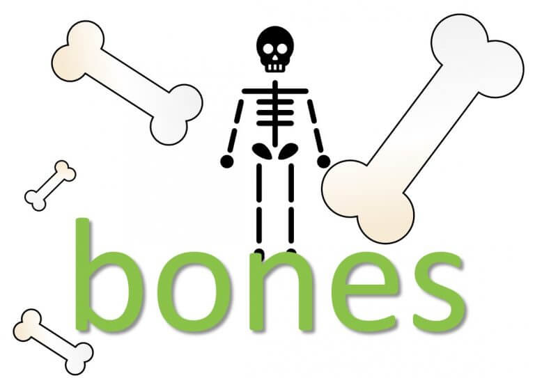 BONES idioms (body idioms) Mingleish