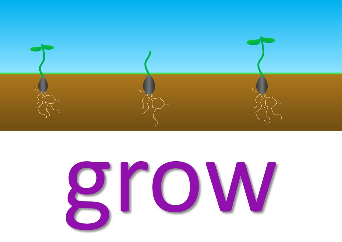 Idioms with verbs GROW Mingleish