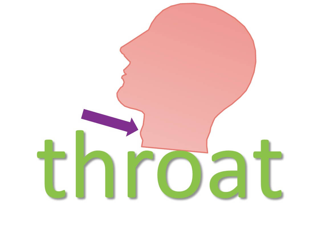 THROAT idioms (body idioms) Mingleish