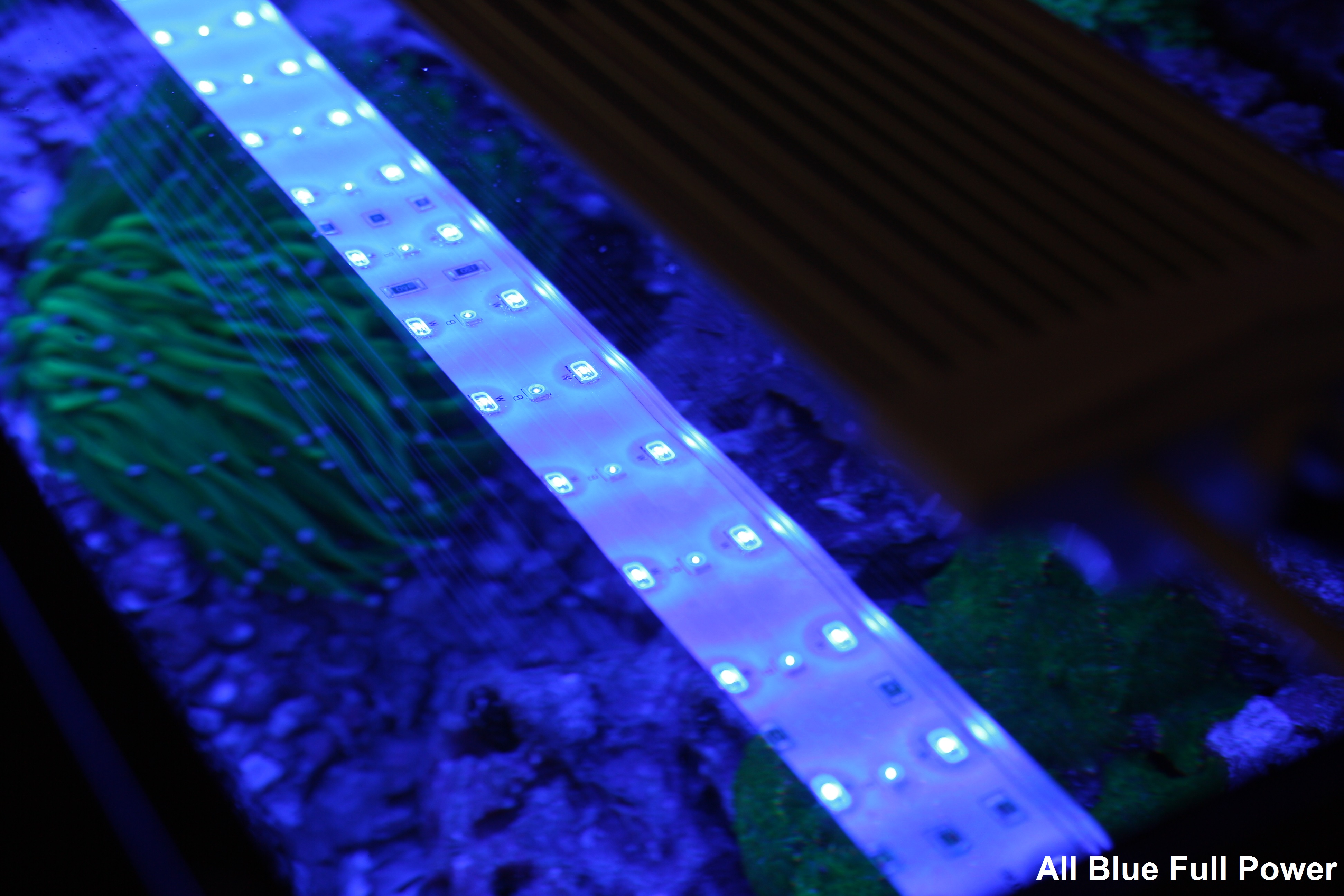 Zetlight Lancia ZP40001200 LED Waterproof Aquarium Light