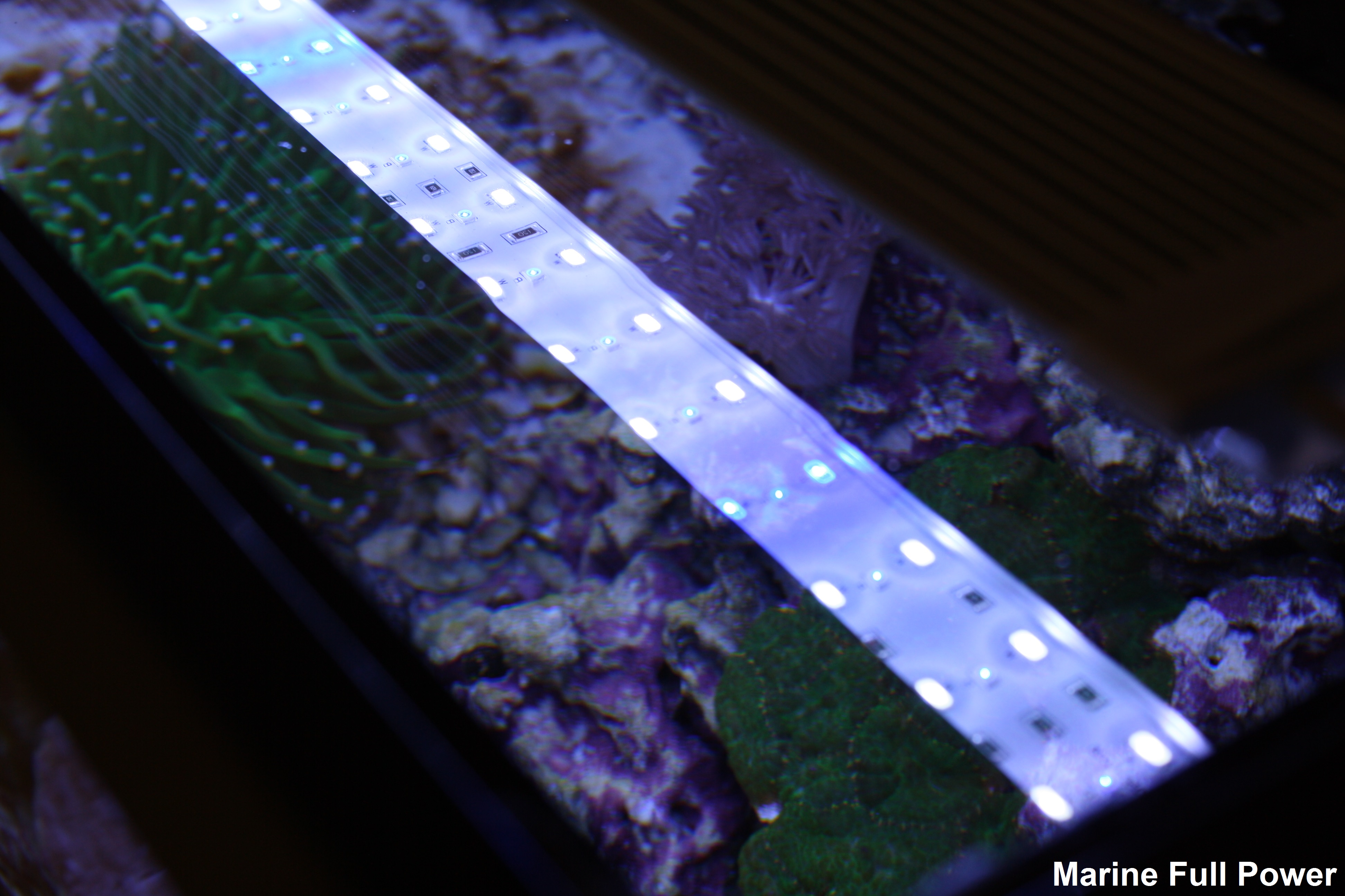 Zetlight Lancia ZP4000895 LED Waterproof Aquarium Light