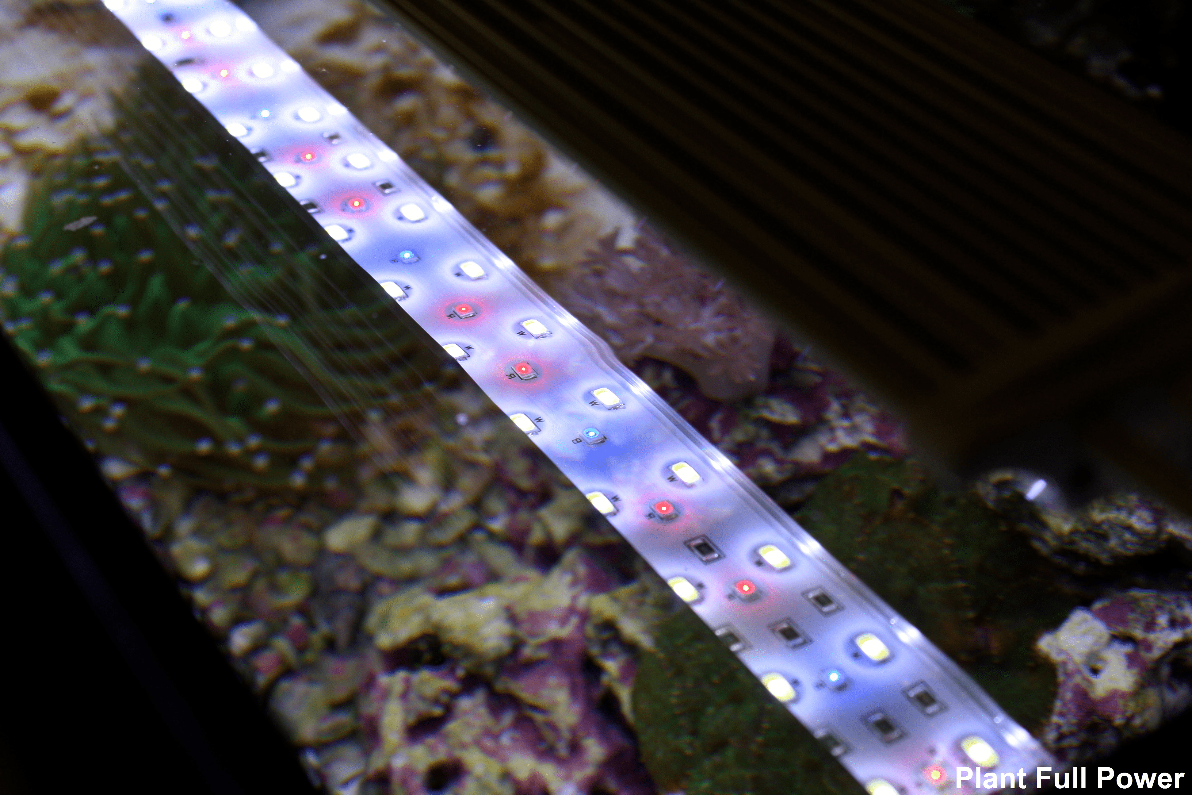Zetlight Lancia ZP4000438 LED Waterproof Aquarium Light