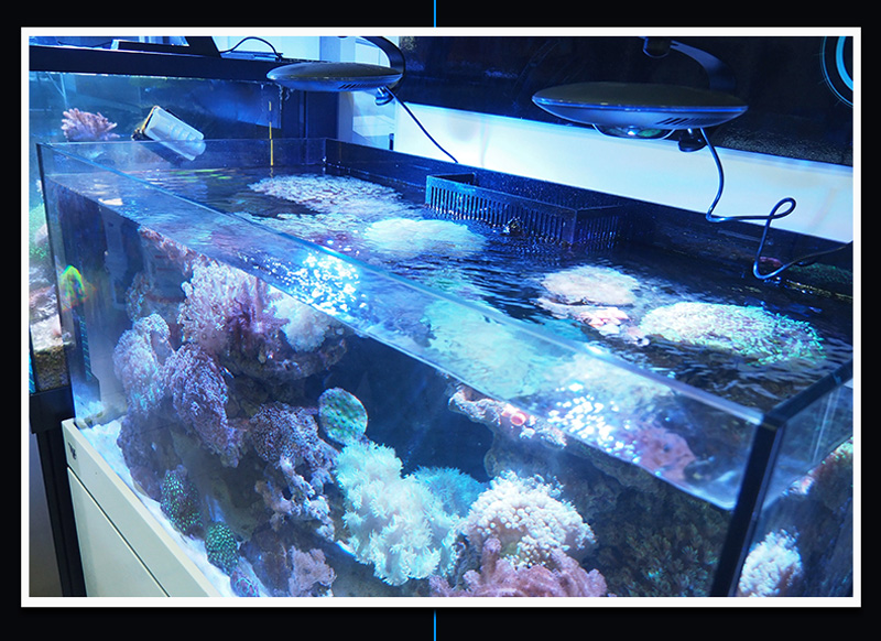 Zetlight UFO ZE8300 Marine 96W LED Reef Aquarium Light