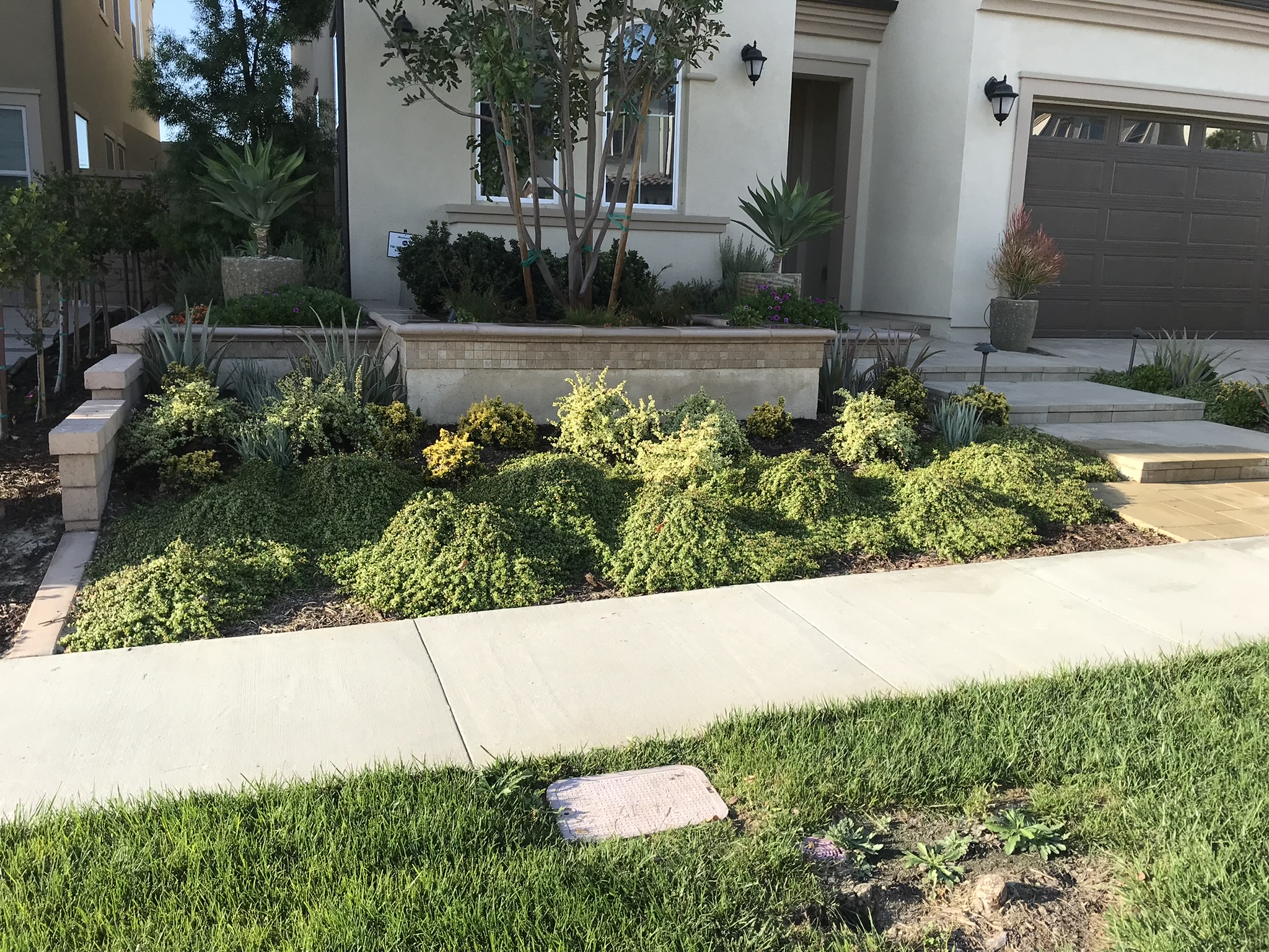 Gallery Ming's Earth Designs