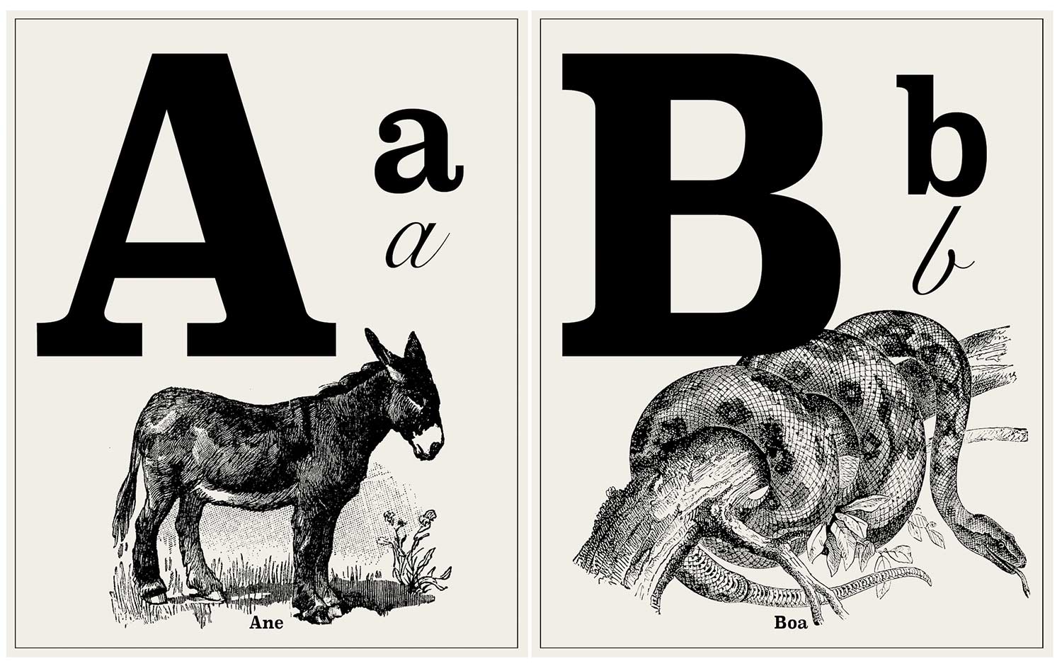 L'alphabet des animaux pour apprendre a lire et écrire