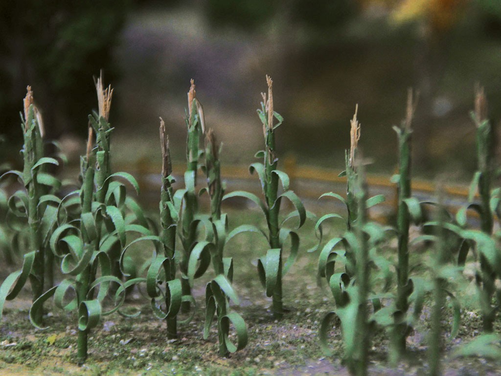 Corn Stalks SceneryProducts