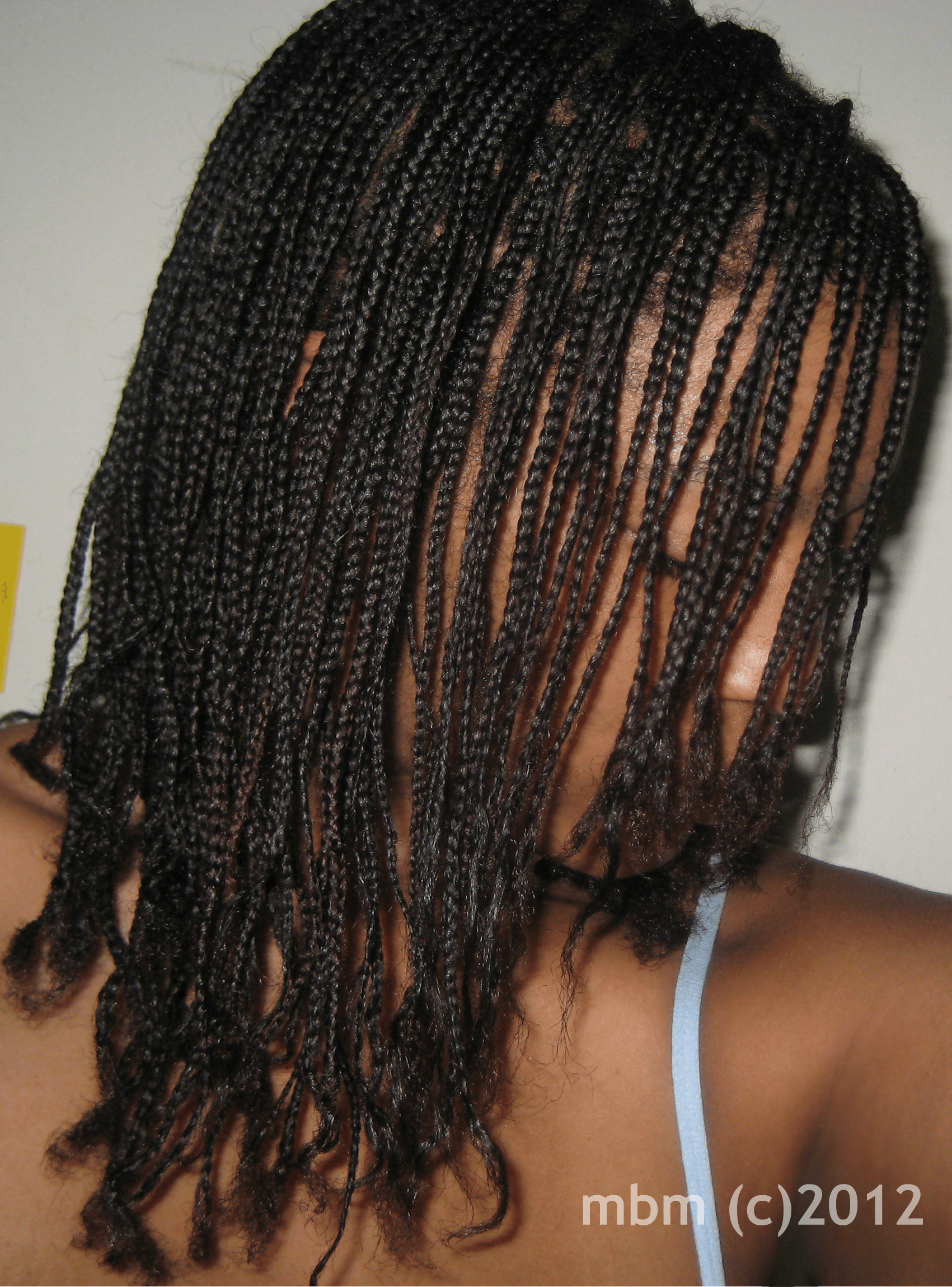 More Pics of My Fall Braids The Mini Braid Method