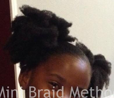 My Niece S Mini Twists Summer 2014 4b 4c Tbl Hair The Mini