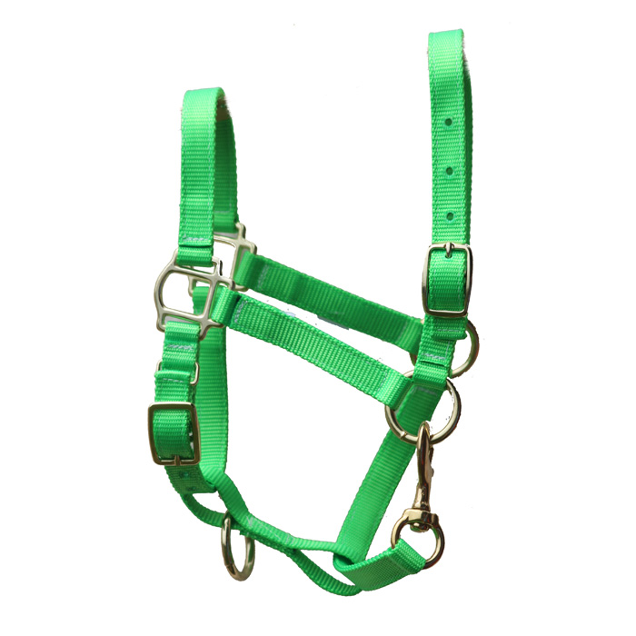 Miniature Donkey Halters for sale at Half Ass Acres Miniature Donkey Farm