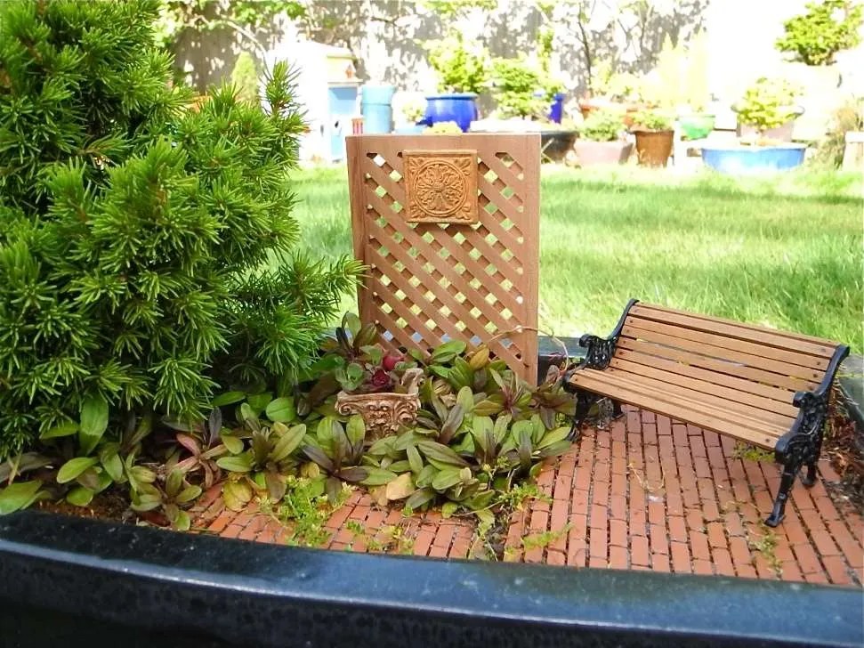 Miniature Garden Plants ‣ The Mini Garden Guru