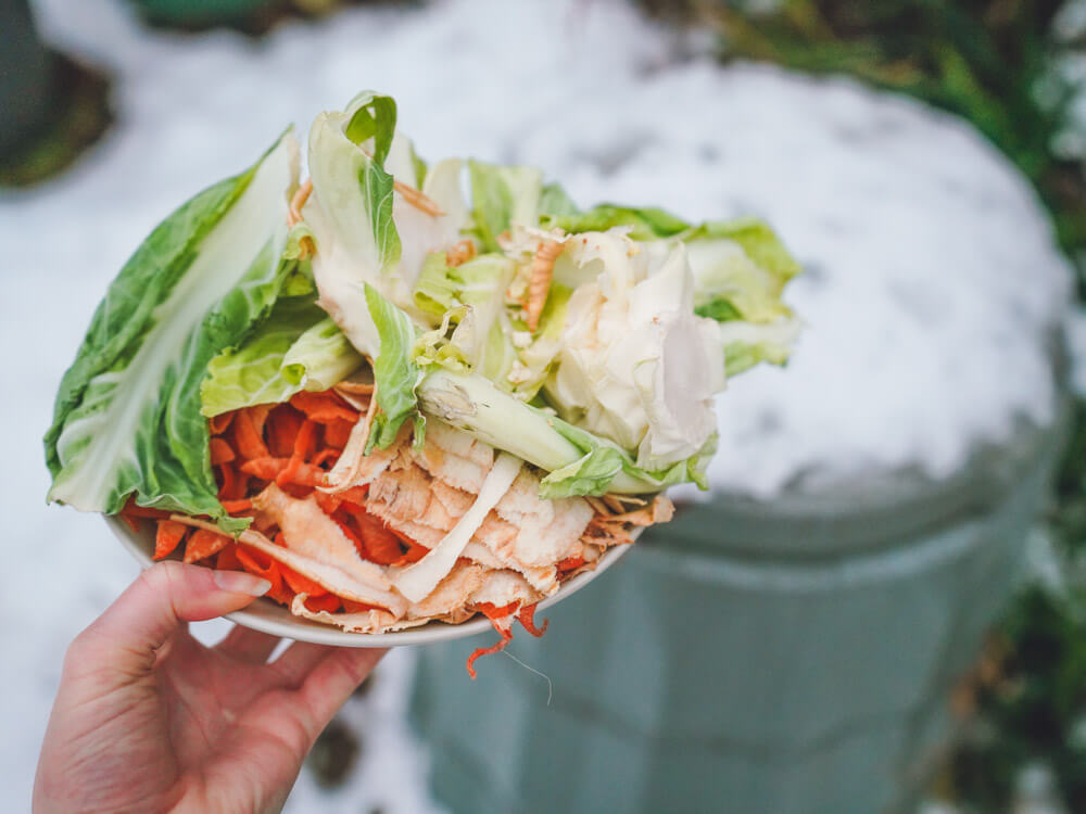 Will Compost Still Break Down in Winter? Mini Garden Spaces