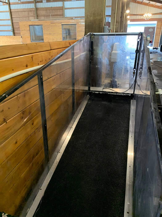 Miniature Horse Equipment for Sale