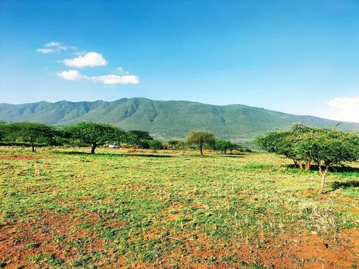 Land for Sale Near Me Your Ultimate Guide to Finding the Perfect Property