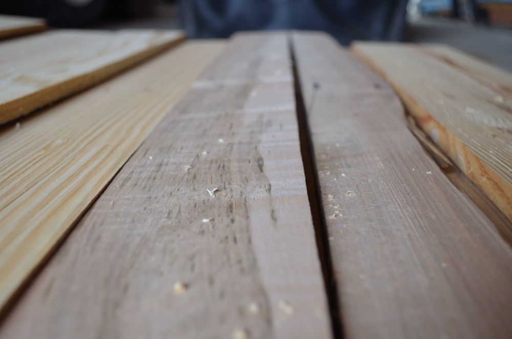 9.23.12 Ketchup, Ketchup, Mustard! MiniMotives