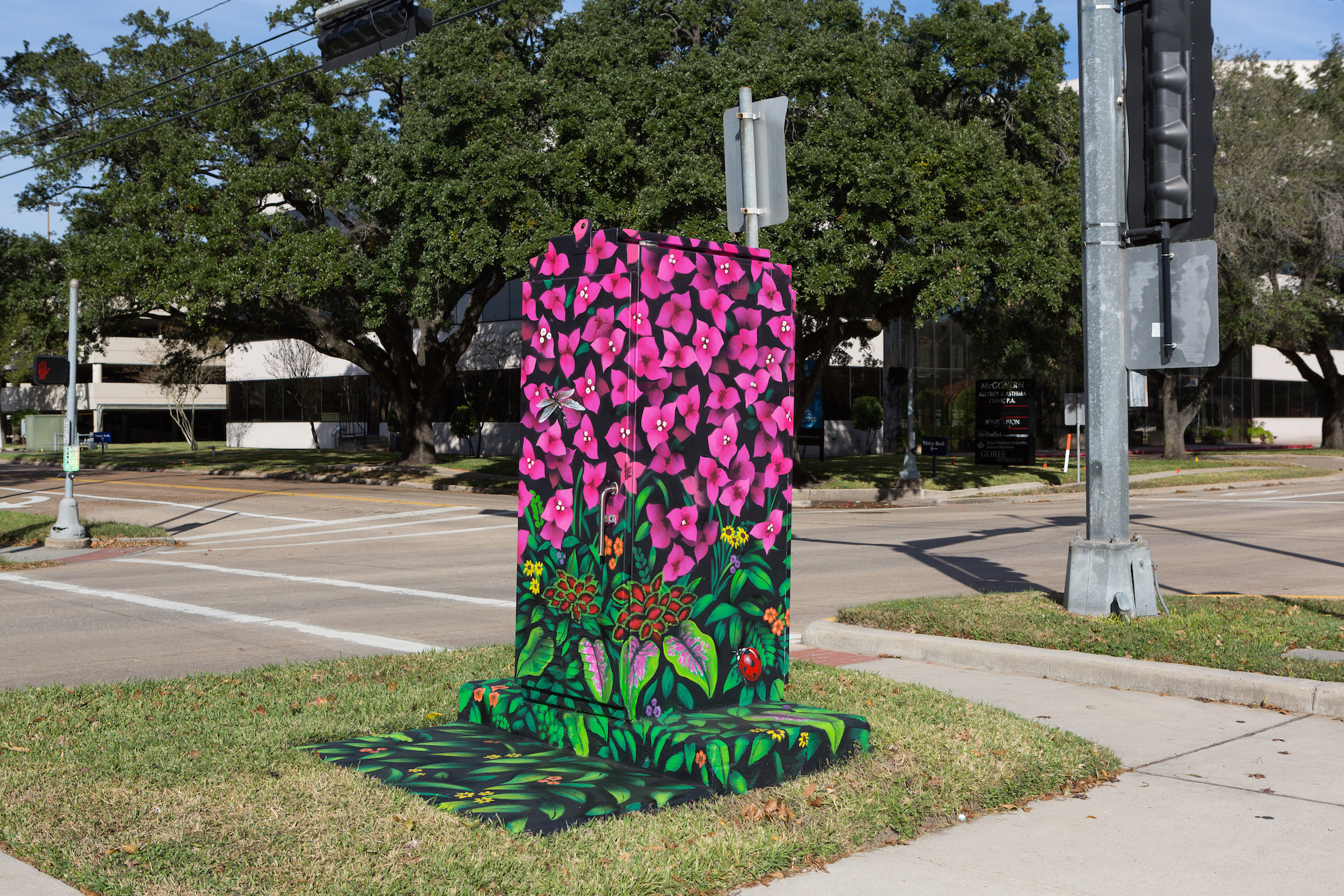 Newcastle Evergreen Mini Murals